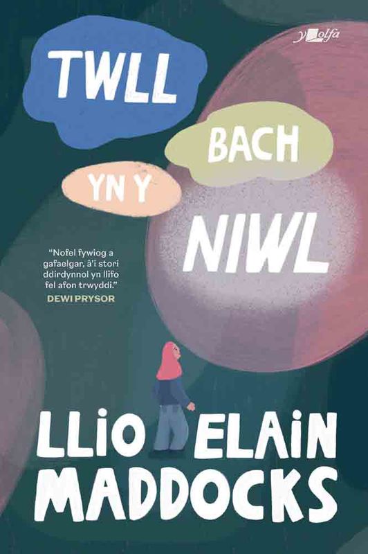 A picture of 'Twll Bach yn y Niwl' 
                              by Llio Elain Maddocks